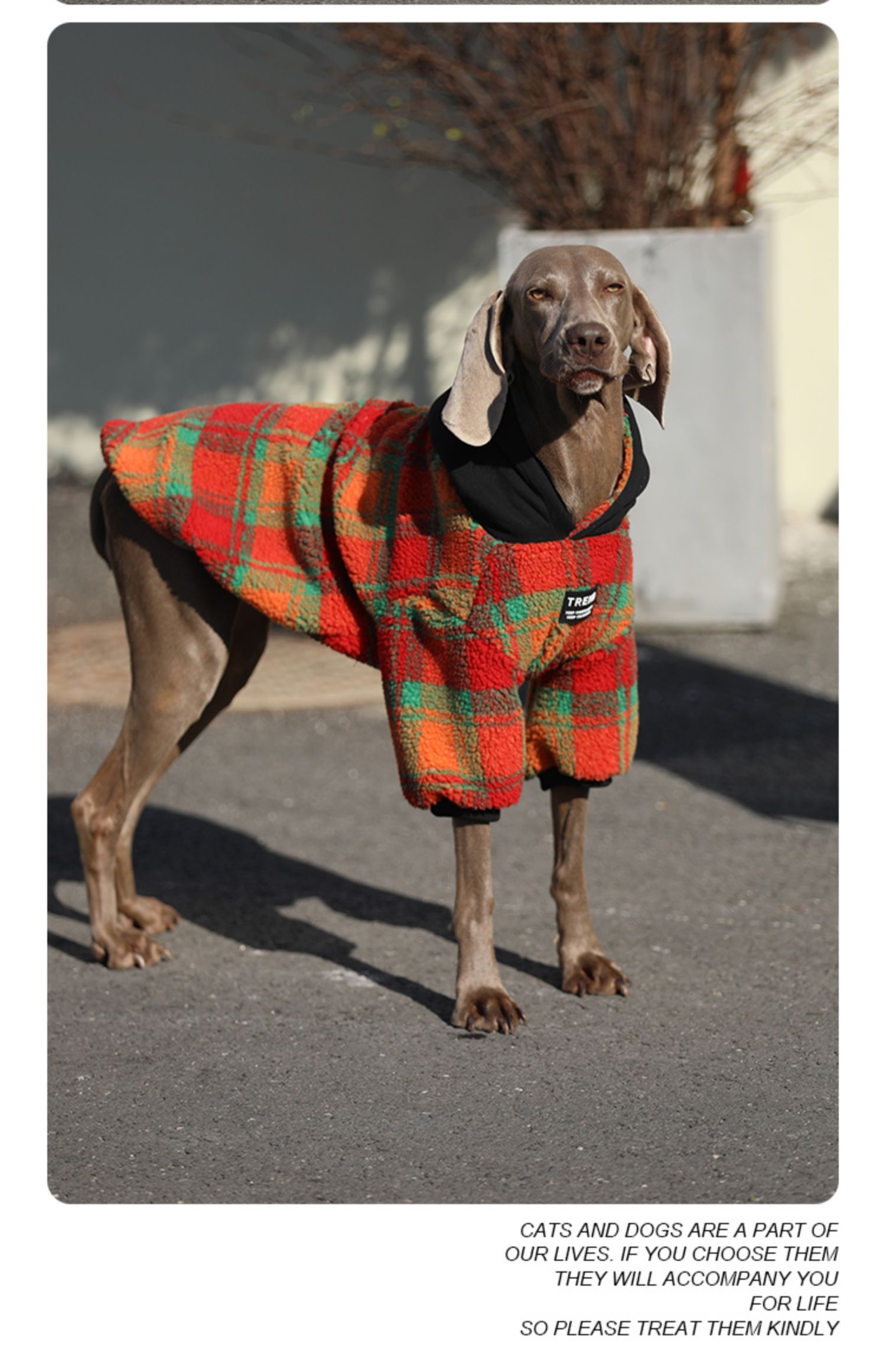 HKM-2157757 Thick and Warm Casual Clothing for Large Dogs in Orange Grid and Green Stripe
