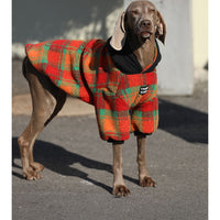 HKM-2157757 Thick and Warm Casual Clothing for Large Dogs in Orange Grid and Green Stripe