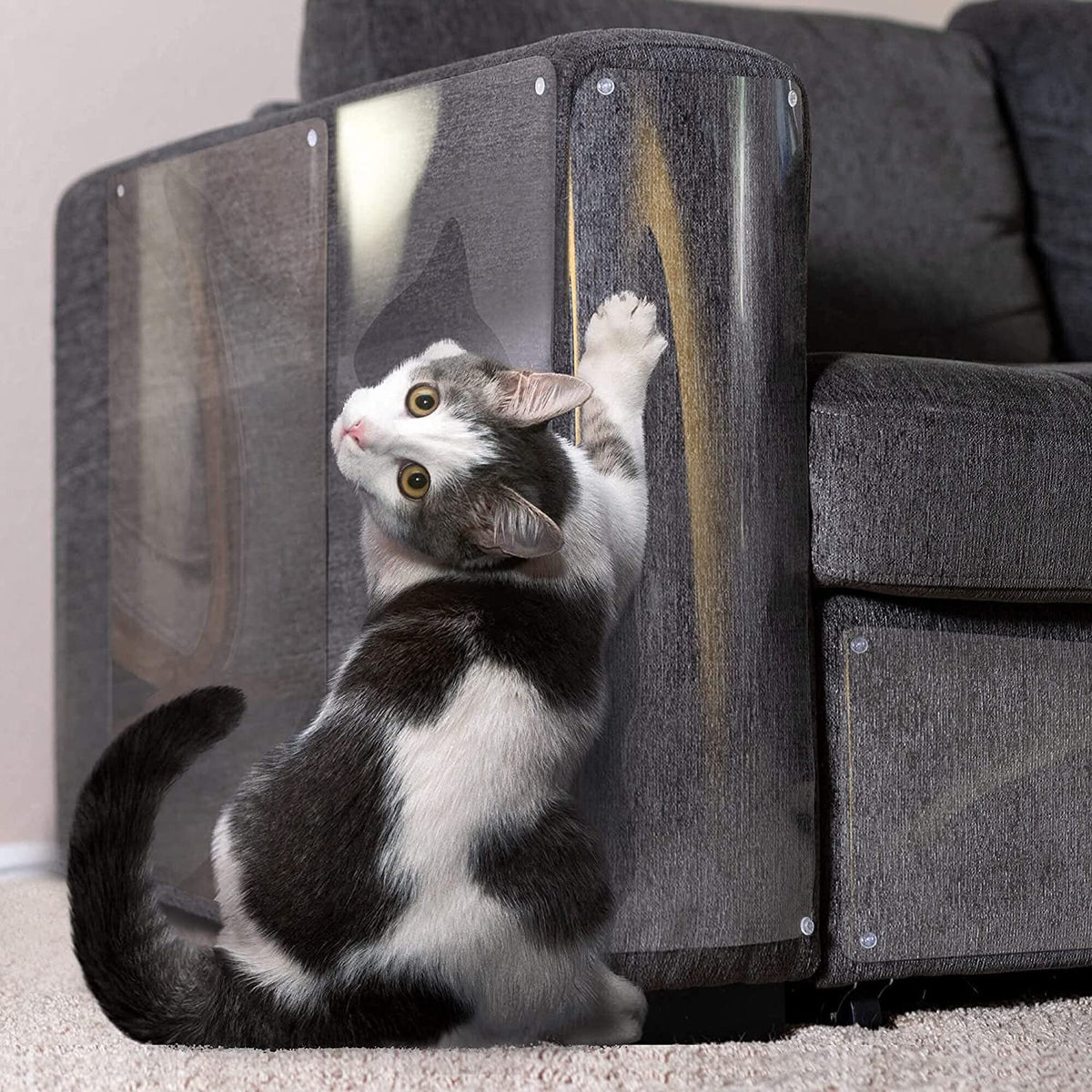HKM-2158141 Transparent Single-Sided Anti-Scratching Tape for Cat Furniture Protection