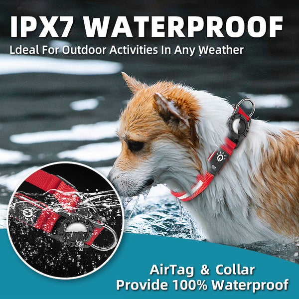 HKM-2159933 IPX7 Waterproof Pet Collar with LED Light Beads in Multiple Colors
