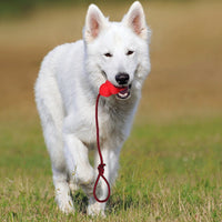 HKM-216275 Pet Toy Natural Rubber Rope Hoist
