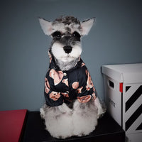 HKM-2165309 Net Red Brown Polyester Dog Raincoat for Autumn and Winter – Two-Legged Design, Available in Multiple Sizes