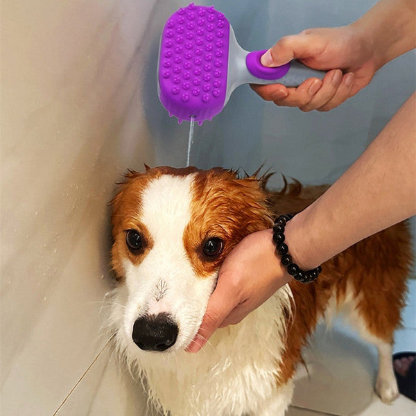 HKM-2165565 Silicone Pet Shower Brush for Dog Bathing and Massage, Available in Purple and Blue
