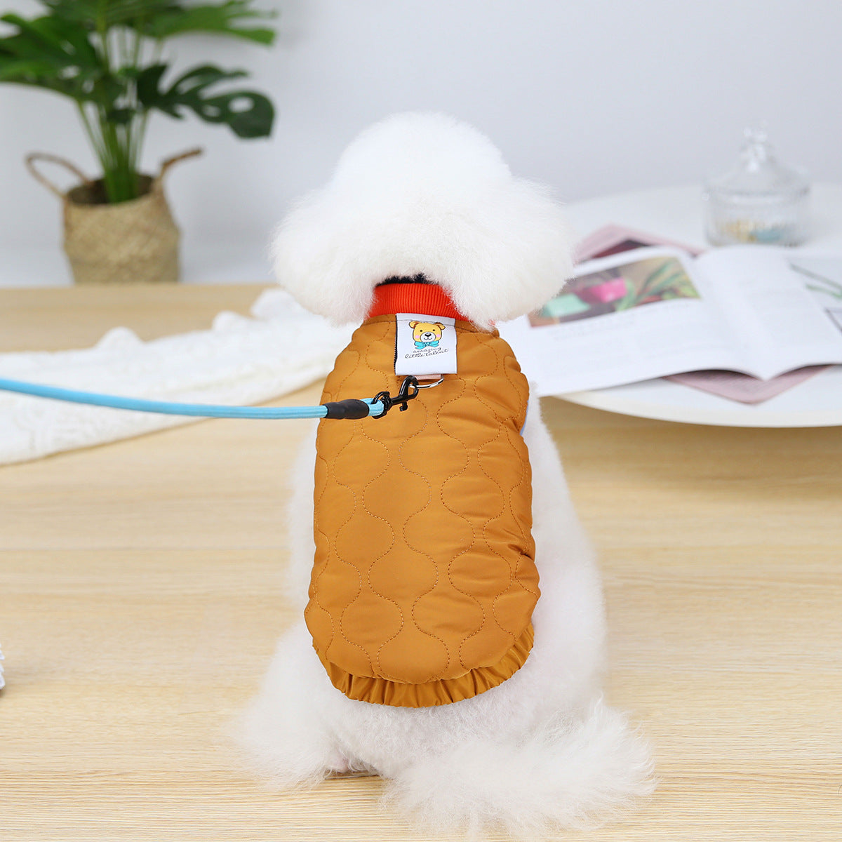 HKM-2166077 Puppy Velvet Vest for Autumn and Winter - Stylish Two-Legged Pet Clothing
