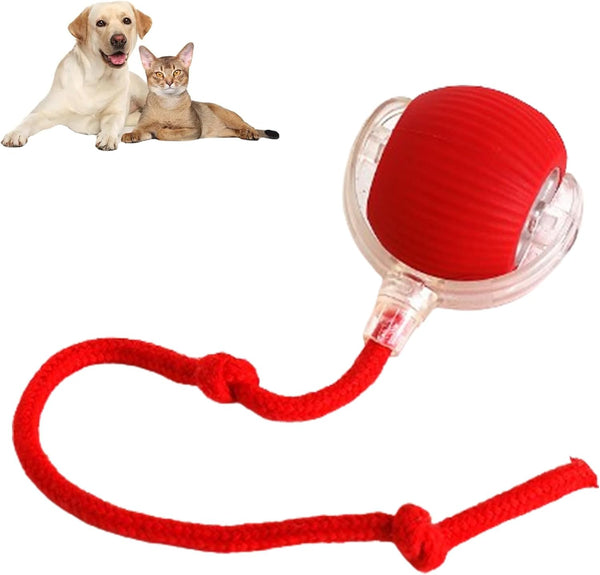 HKM-2170941 Automatic Rolling Pet Ball with Rope for Dogs and Cats - Interactive 360° Toy, 6.5cm