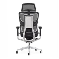 HKM-217107 Ergonomic High Back Mesh Office Chair with Swivel Base and 4D Armrests