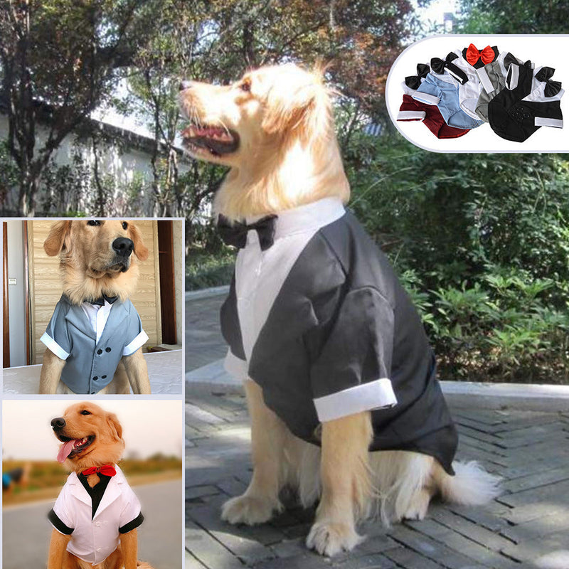 HKM-2171837 Big Dog Dress with Bow Tie - Stylish Cotton Puppy Suit in Black, Gray, Sky Blue, and Red Brown Sizes XS to XL