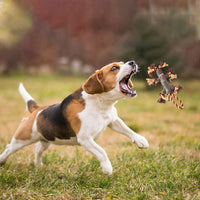 HKM-2172093 Durable Rope and Rubber Training Toy for Large Dogs - Tree Branch Style with Knot and Ball Design