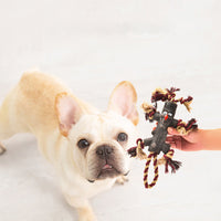 HKM-2172093 Durable Rope and Rubber Training Toy for Large Dogs - Tree Branch Style with Knot and Ball Design