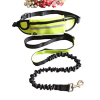 HKM-2173245 Adjustable Pet Traction Rope with Large Capacity Running Waist Bag Set