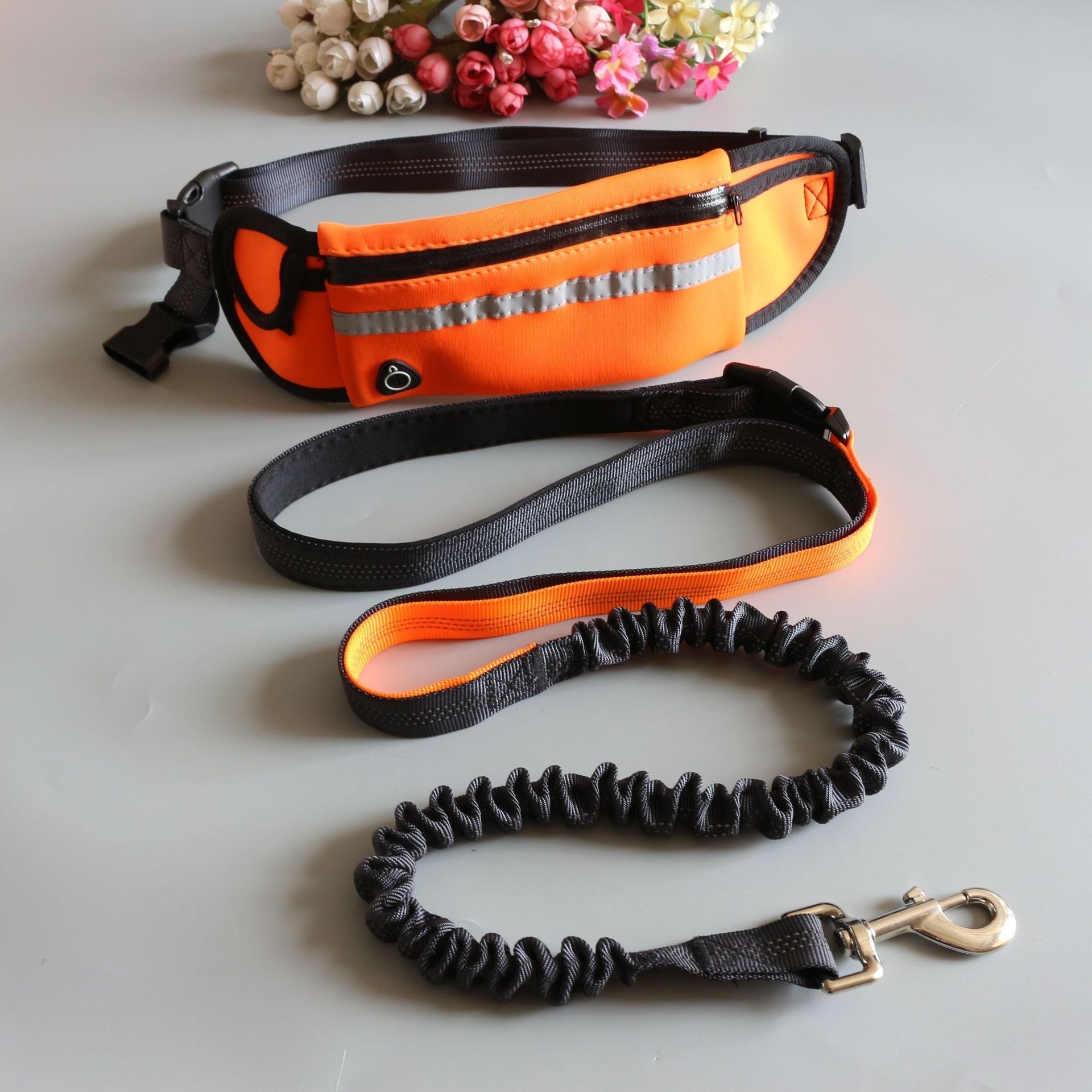HKM-2173245 Adjustable Pet Traction Rope with Large Capacity Running Waist Bag Set