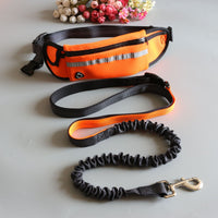 HKM-2173245 Adjustable Pet Traction Rope with Large Capacity Running Waist Bag Set