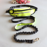 HKM-2173245 Adjustable Pet Traction Rope with Large Capacity Running Waist Bag Set
