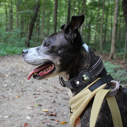 HKM-2175421 Pet Tracker Collar Cover for Apple AirTag - Adjustable Reflective Nylon for Medium to Large Dogs (M-XL)