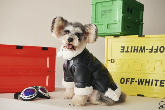 HKM-2177597 Cozy Black Fur Dog Coat for Autumn and Winter - Thick PU Cotton Fabric