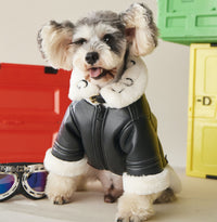 HKM-2177597 Cozy Black Fur Dog Coat for Autumn and Winter - Thick PU Cotton Fabric
