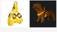 HKM-2184253 LED Light-Up Chest Harness and Leash for Medium to Large Dogs - Multiple Colors Available