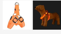 HKM-2184253 LED Light-Up Chest Harness and Leash for Medium to Large Dogs - Multiple Colors Available