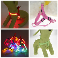 HKM-2184253 LED Light-Up Chest Harness and Leash for Medium to Large Dogs - Multiple Colors Available