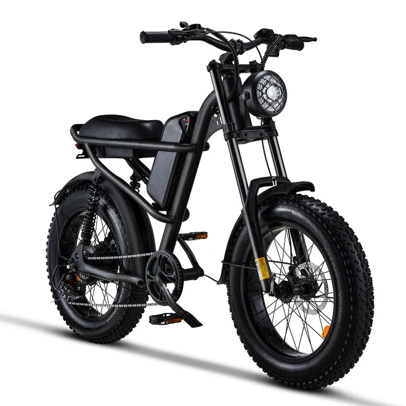 HKM-218899 Electric Fat Tire Bike with 2000W Motor, 7-Speed Gears, and Dual Battery for Adults