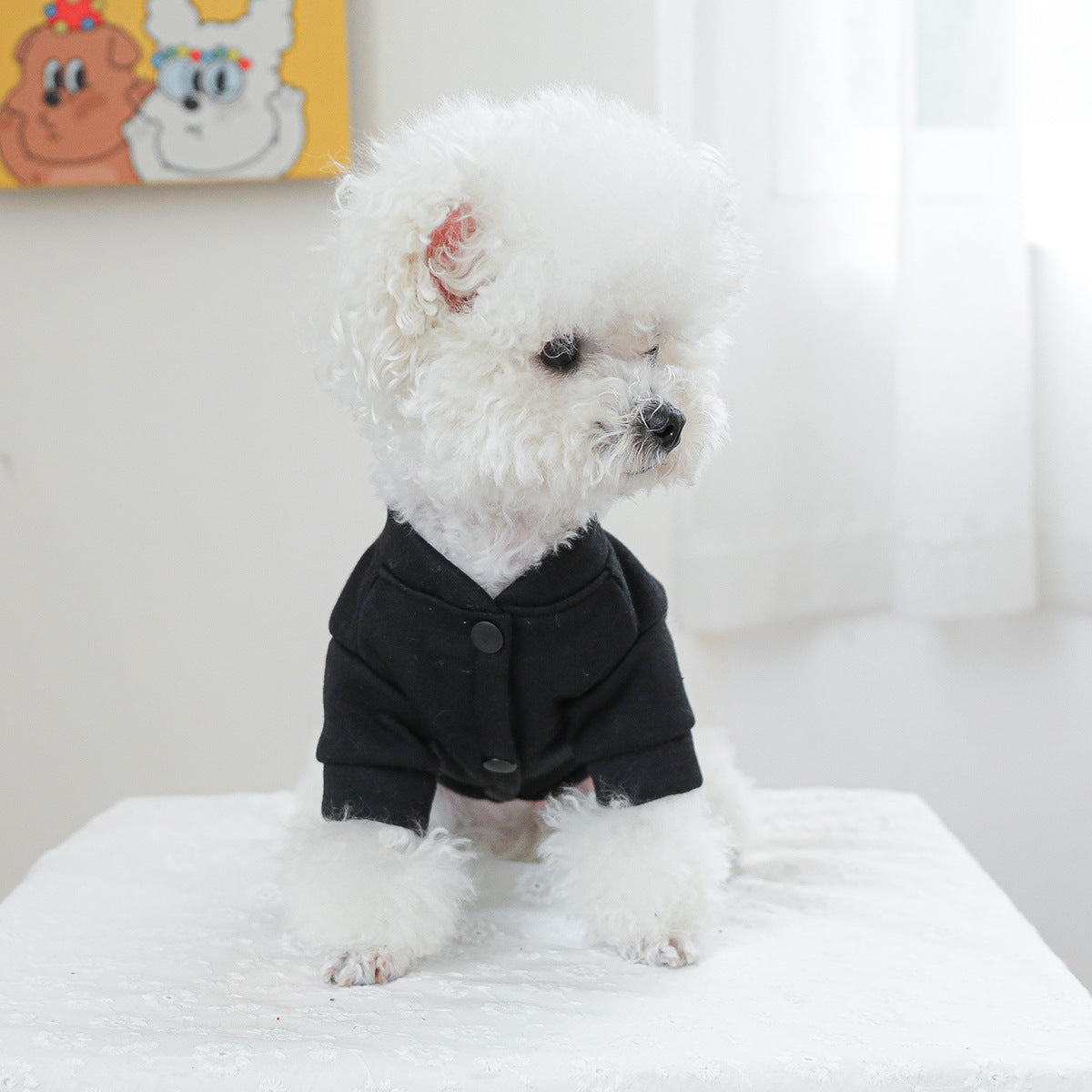 HKM-2190013 Kiss Sweater for Pets - Casual Autumn and Winter Clothing, Multiple Sizes Available