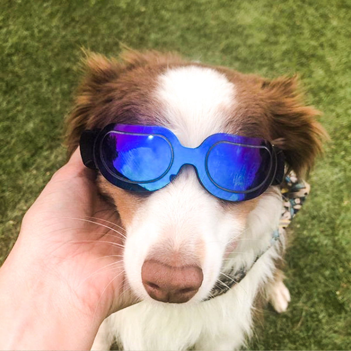 HKM-2192317 Colorful Dog and Cat Sunglasses with UV Protection ¨C Stylish and Durable Pet Eye Wear