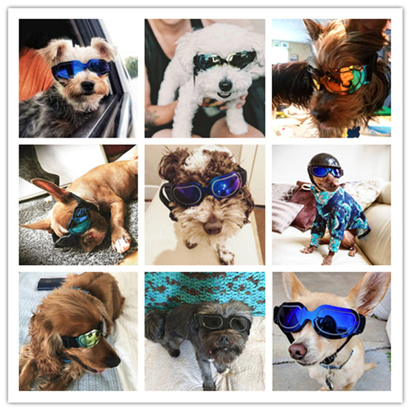 HKM-2192317 Colorful Dog and Cat Sunglasses with UV Protection ¨C Stylish and Durable Pet Eye Wear