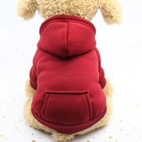 HKM-2194877 Teacup Dog Costume for Winter - Adorn Your Pet in Cozy Style with Various Color Options