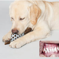 HKM-2195517 Dog Chew Toy with Molar Teeth Cleaning Features - Durable Plastic, Assorted Colors