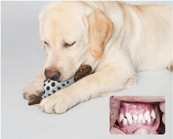 HKM-2195517 Dog Chew Toy with Molar Teeth Cleaning Features - Durable Plastic, Assorted Colors