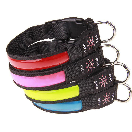 HKM-219667 Rechargeable Luminous Dog Collar in Multiple Colors for All Breeds
