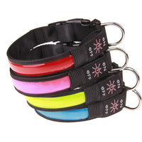 HKM-219667 Rechargeable Luminous Dog Collar in Multiple Colors for All Breeds