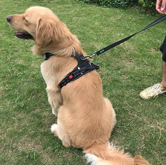HKM-2199741 Dog Vest Rope for Medium and Large Dogs, Made of Durable Polyester Fiber