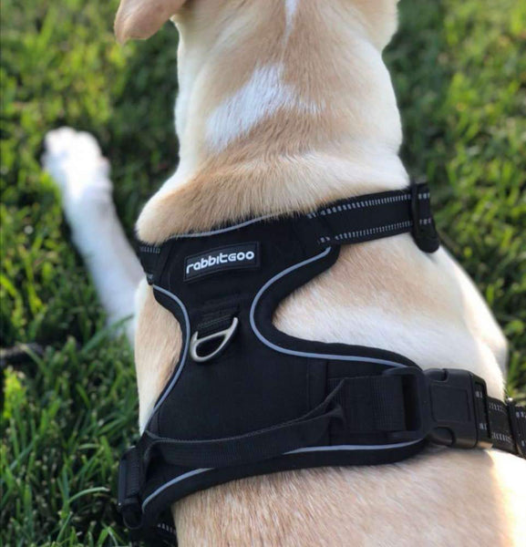 HKM-2199741 Dog Vest Rope for Medium and Large Dogs, Made of Durable Polyester Fiber