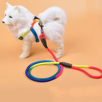 HKM-2200253 Colorful Nylon Round Dog Hand Rope - Available in Small, Medium, Large Sizes