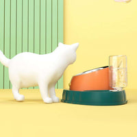 HKM-2202429 Double Bowl Stainless Steel Pet Feeding Dish with Non-Slip Base and Tilted Carrot Design