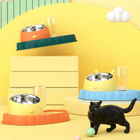 HKM-2202429 Double Bowl Stainless Steel Pet Feeding Dish with Non-Slip Base and Tilted Carrot Design
