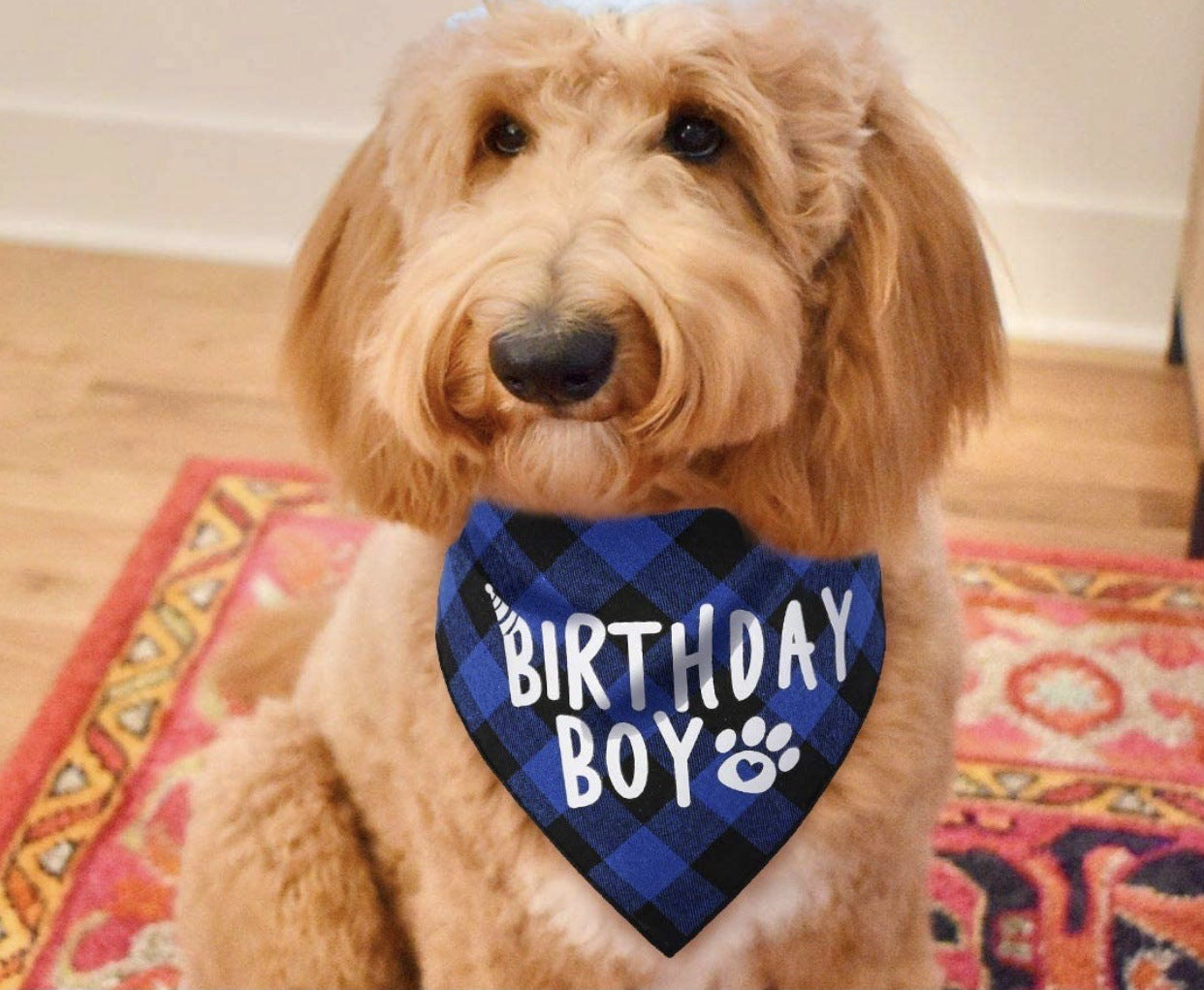 HKM-2203837 Dog Birthday Plaid Triangle Scarf and Saliva Towel, Cotton, Customizable Size