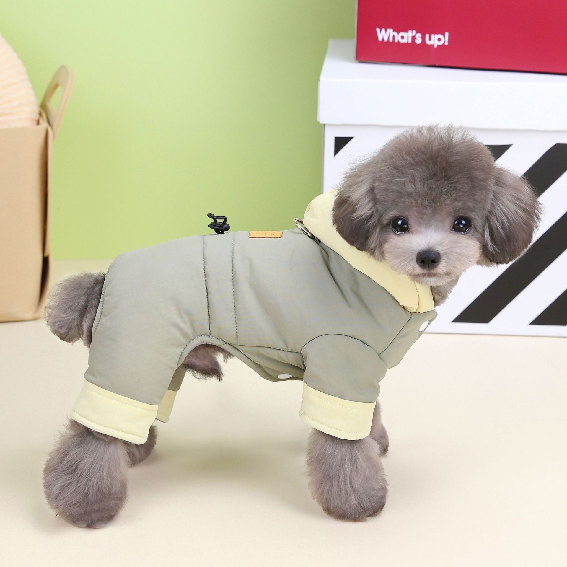 HKM-2206781 Cotton-Padded Dog Clothing for Autumn and Winter in Dark Navy Blue and Smoky Green