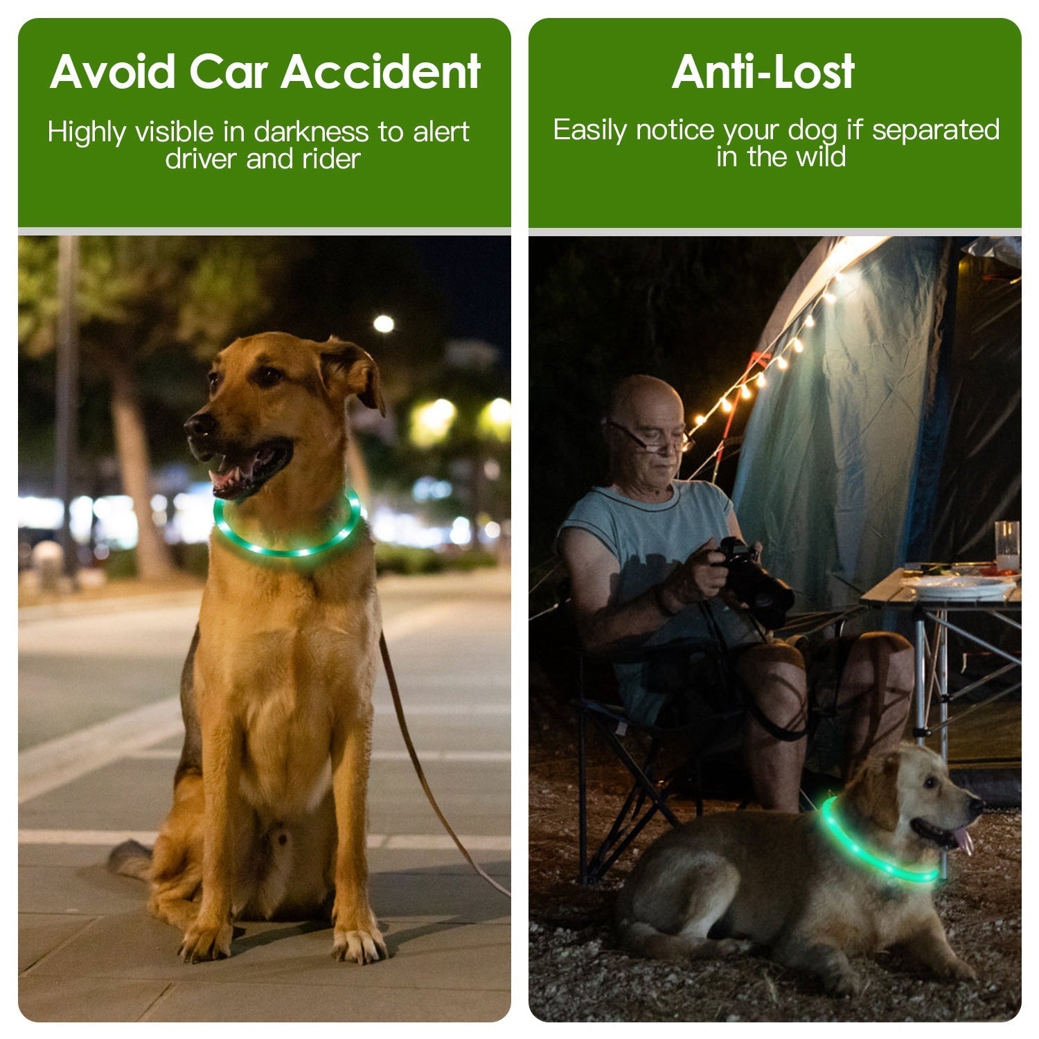 HKM-2208189 LED Rechargeable Multi-Color Dog Safety Collar with Adjustable Length for Night Walking