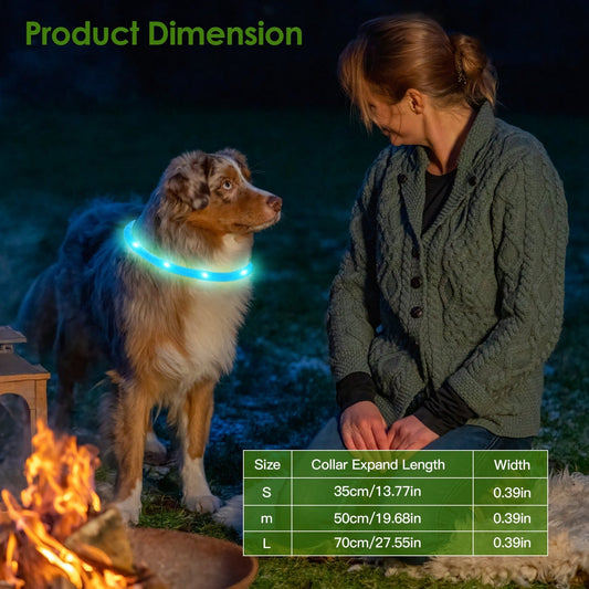 HKM-2208189 LED Rechargeable Multi-Color Dog Safety Collar with Adjustable Length for Night Walking