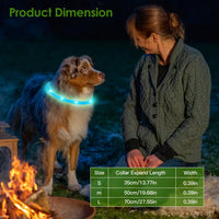 HKM-2208189 LED Rechargeable Multi-Color Dog Safety Collar with Adjustable Length for Night Walking