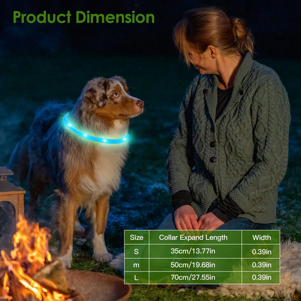 HKM-2208189 LED Rechargeable Multi-Color Dog Safety Collar with Adjustable Length for Night Walking