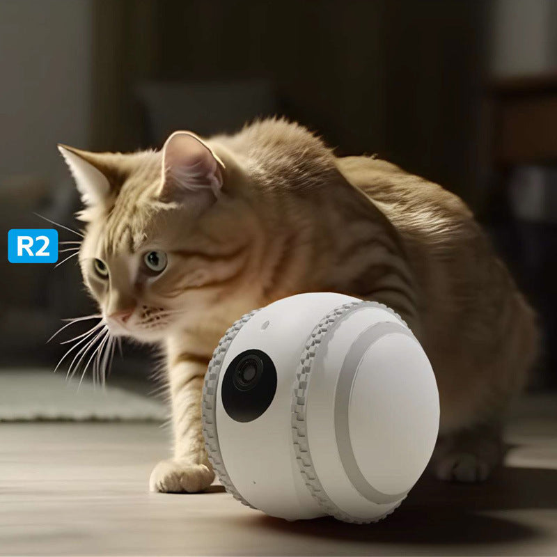 HKM-2224317 White Cat Toy Robot with Automatic Recharge Feature for Pet Monitoring