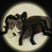 HKM-2227645 Pet Spider Costume for Dogs and Cats - Feather Dress-Up Accessory for Halloween and Parties