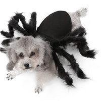 HKM-2227645 Pet Spider Costume for Dogs and Cats - Feather Dress-Up Accessory for Halloween and Parties