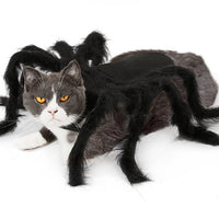 HKM-2227645 Pet Spider Costume for Dogs and Cats - Feather Dress-Up Accessory for Halloween and Parties