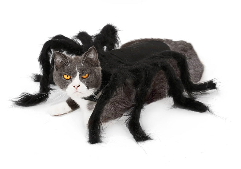 HKM-2227645 Pet Spider Costume for Dogs and Cats - Feather Dress-Up Accessory for Halloween and Parties