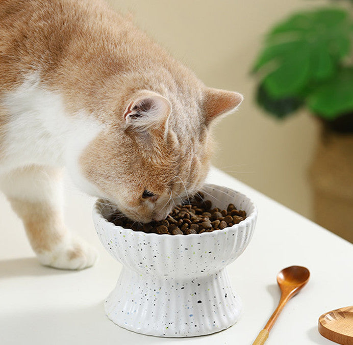 HKM-2229437 Elevated Cat Ceramic Slow Food Bowl with Neck Guard - Various Styles Available