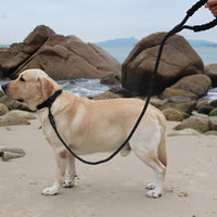 HKM-2233021 Retractable Explosion-Proof Pet Leash for Small and Large Dogs, 1.6m Length, Available in Red, Blue, Black